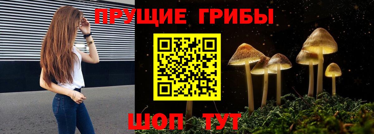 Галлюциногенные грибы Magic Shrooms  купить закладку  Всеволожск  Вход с VPN 